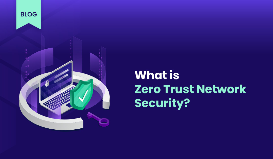 What is Zero Trust Network Security?