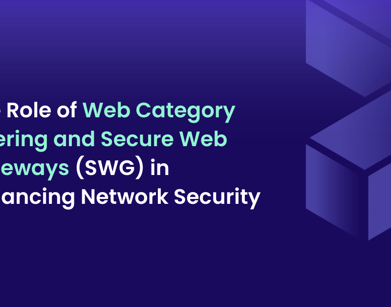 category filtering and secure web gateway