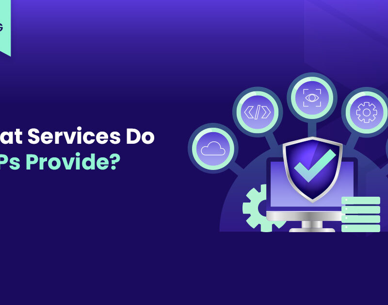 what services do msps provide