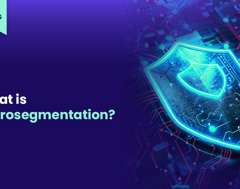 blog kapak gorseli Microsegmentation