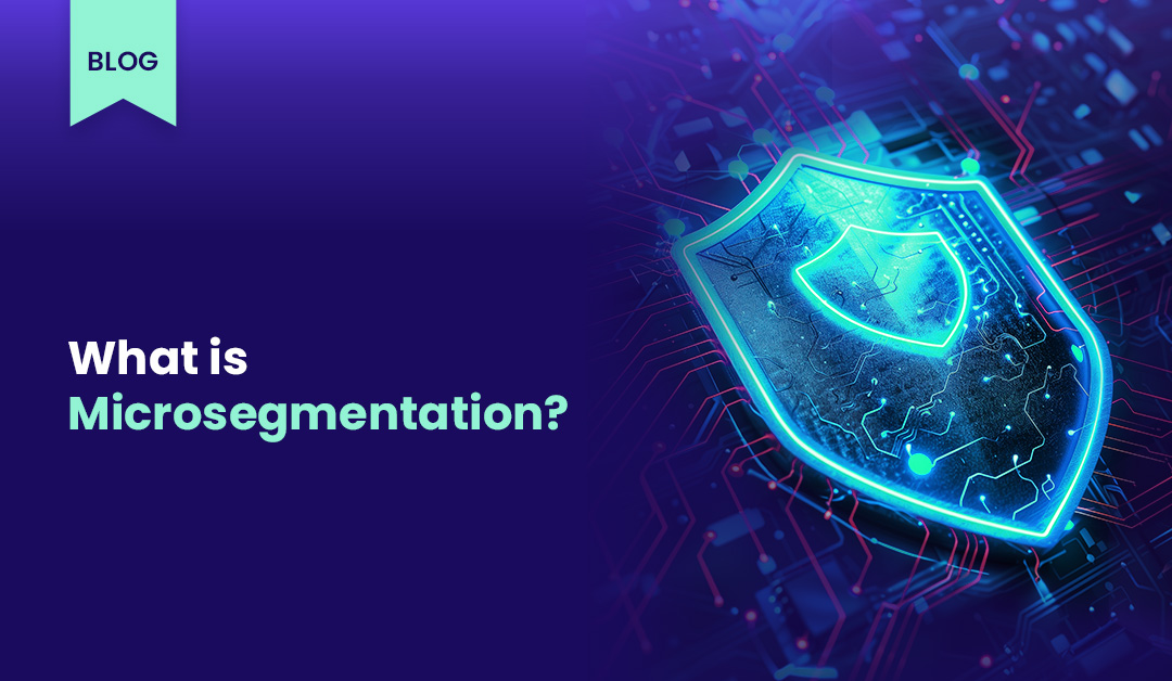 What is Microsegmentation?